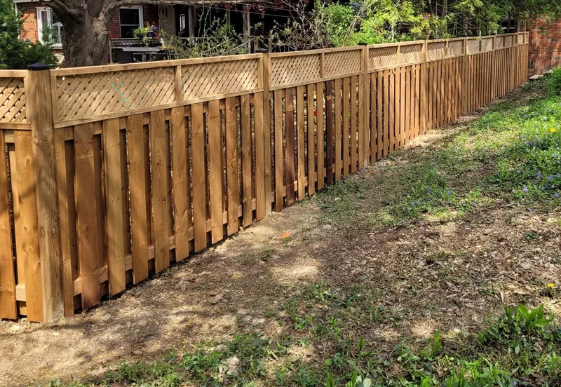 Wood fence following a garden boundary beneath mature trees